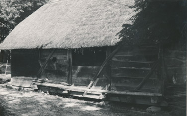 eika image
